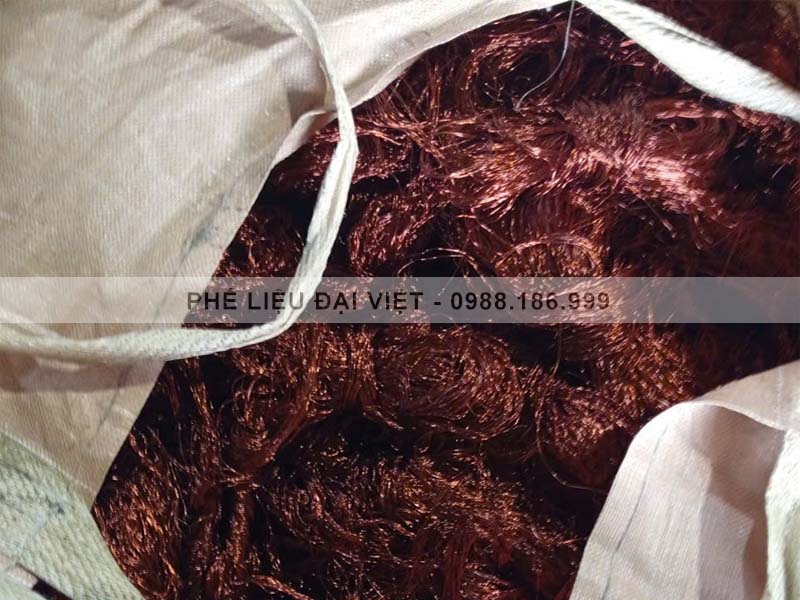 Thu mua vải thực tế