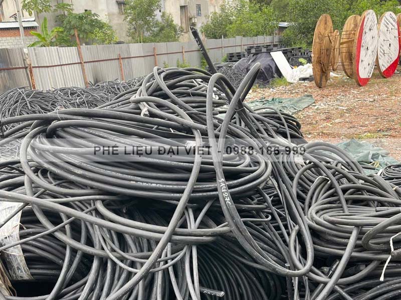 Thu mua vải thực tế