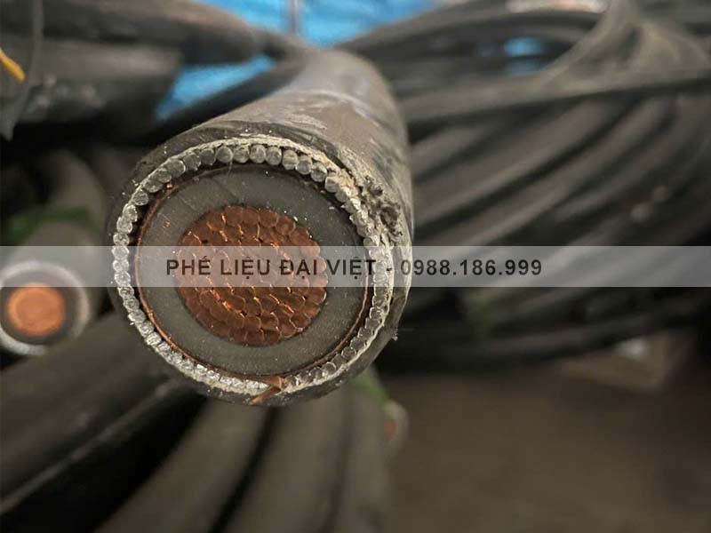 Thu mua vải thực tế